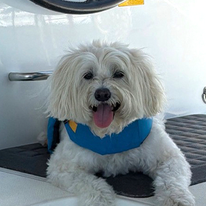 Benny